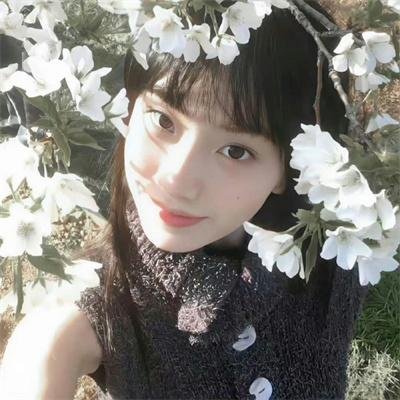 贞观盛事